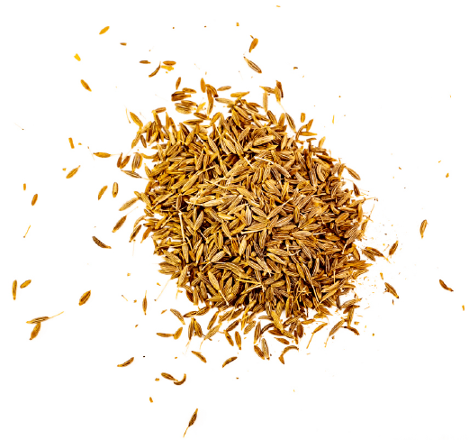 erosion-control-products-108 Custom seed mixes for revegetation