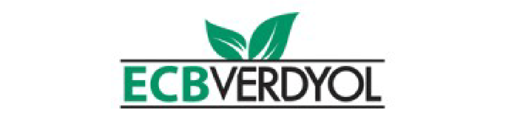 ECBVERDYOL Logo